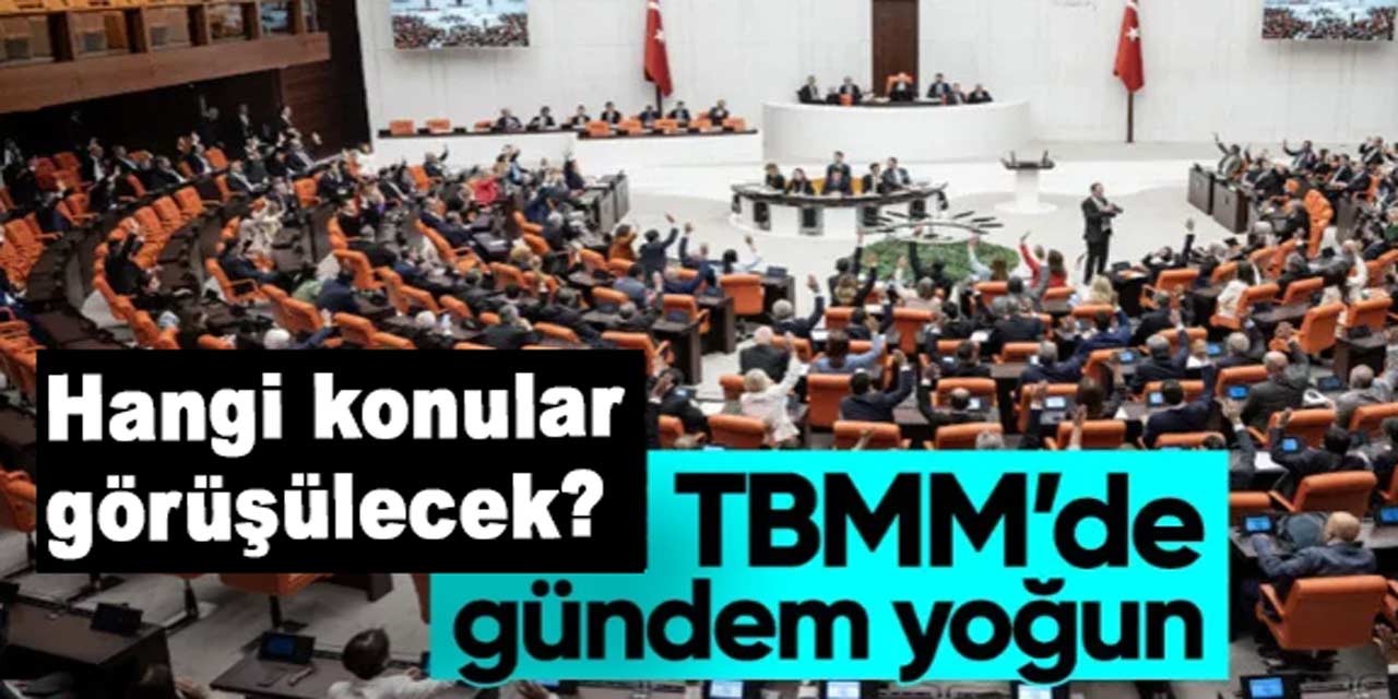 TBMM'de bu hafta gündem yoğun. Bakın Genel Kurul'da neler görüşülecek?