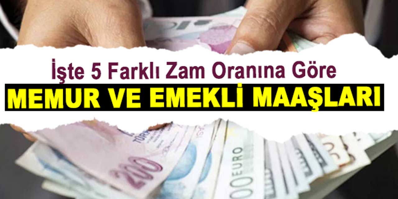 Yeni Memur ve Emekli Maaşları Ne Kadar Olacak? İşte 5 Farklı Zam Oranına Göre Polis, Öğretmen Maaşları…