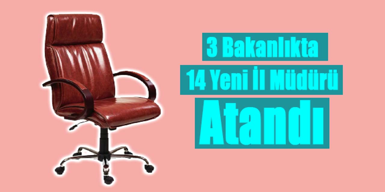 3 Bakanlıkta 14 yeni il müdürü atandı