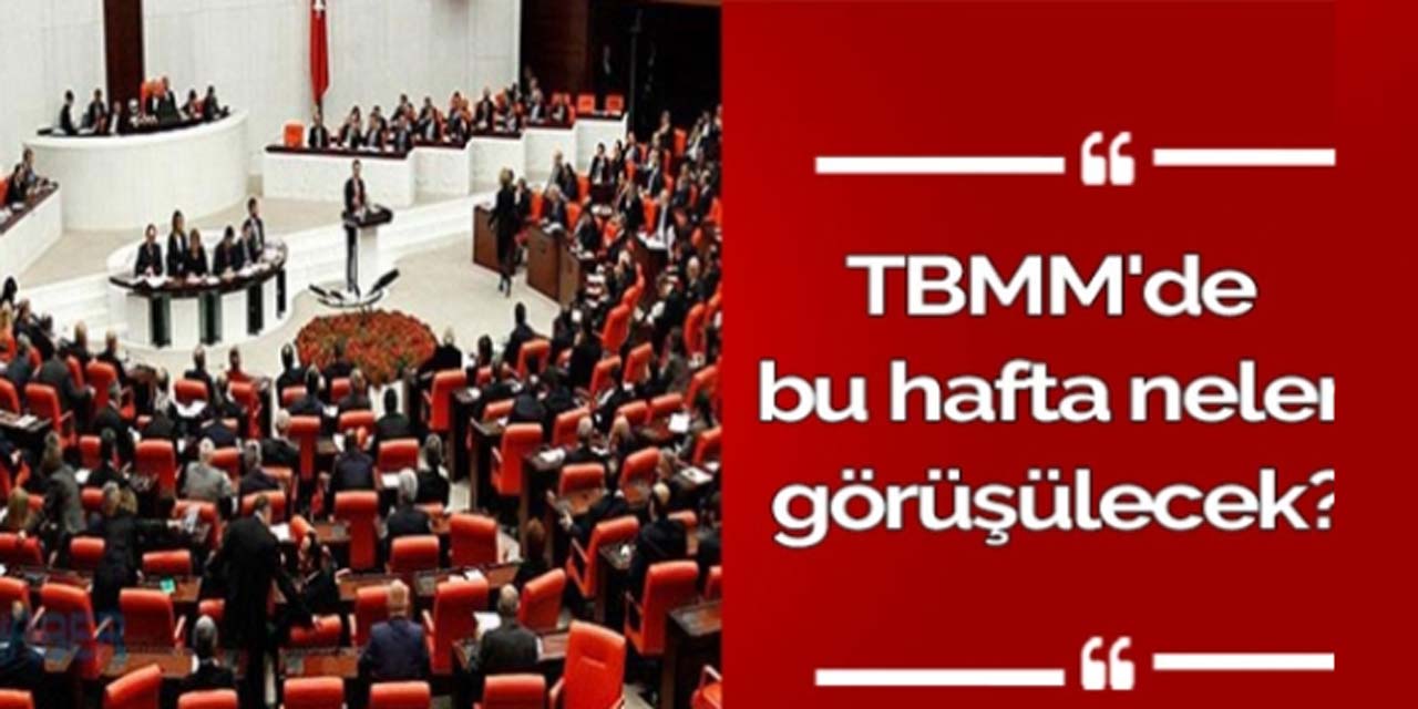 İşte TBMM'nin bu haftaki gündemi!