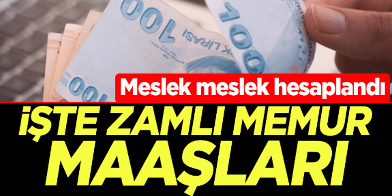 Emekli ve memurlar dikkat! Ekonomistler meslek meslek zamlı maaşları hesapladı