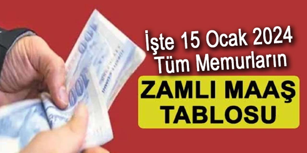 Türkiye Gazetesi, meslek meslek hesapladı: İşte yüzde 49,25 zamma göre memur maaş tablosu