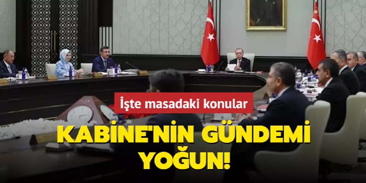 Yarın toplanacak yılın ilk kabinesinin gündeminde neler var?