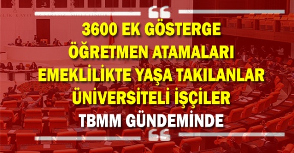 3600 ek gösterge, emeklilikte yaşa takılanlar, üniversiteli işçiler ve atama bekleyen öğretmenler TBMM'de dile getirildi