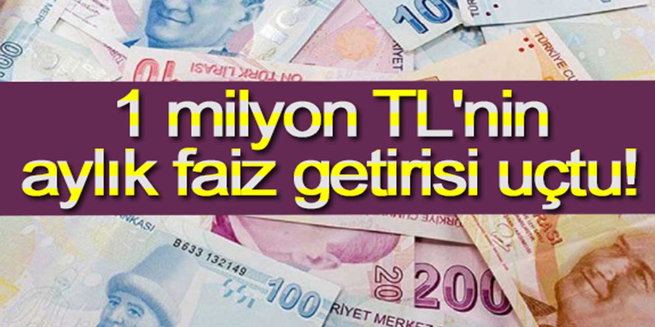 Yüksek faiz getirisi! 1 milyon TL'nin mevduat faizi heyecan verici oranlarda