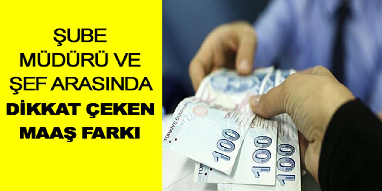 Şube müdürü ile şef arasında dikkat çeken maaş farkı!