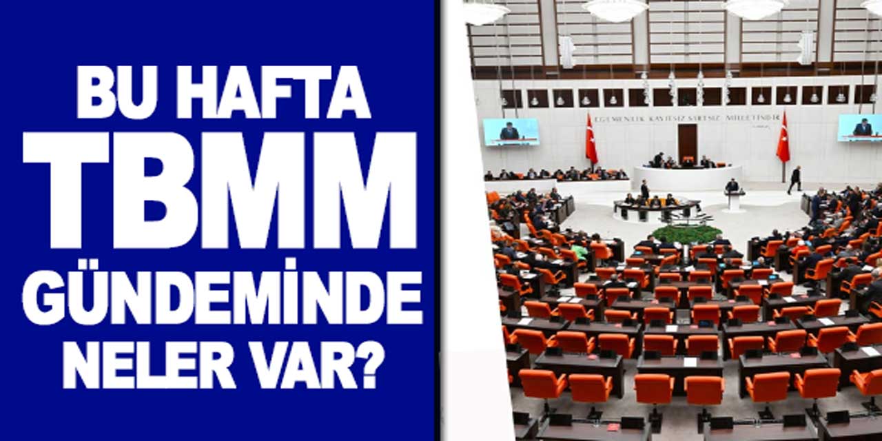 TBMM'nin bu hafta gündemi belli oldu! İŞTE beklenen düzenlemeler