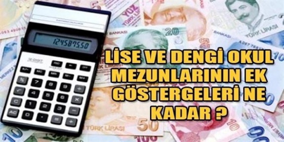 Lise mezunu memurların hizmet sınıflarına göre ek gösterge tablosu