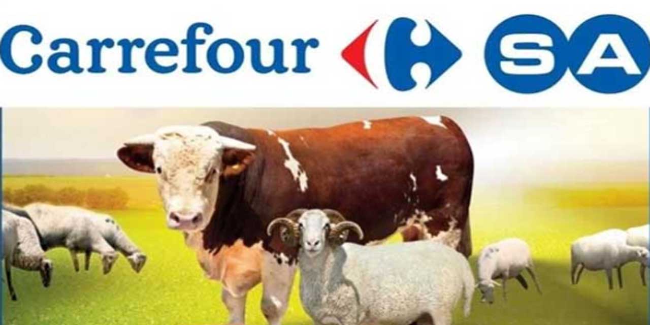 Carrefour büyükbaş ve küçükbaş 2024 kurbanlık fiyatları belli oldu: Üstelik 6 taksit fırsatıyla...