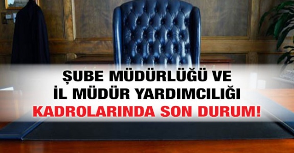 Merkezde şube müdürlüğü, taşrada il müdür yardımcılığı ne zaman kaldırılacak?