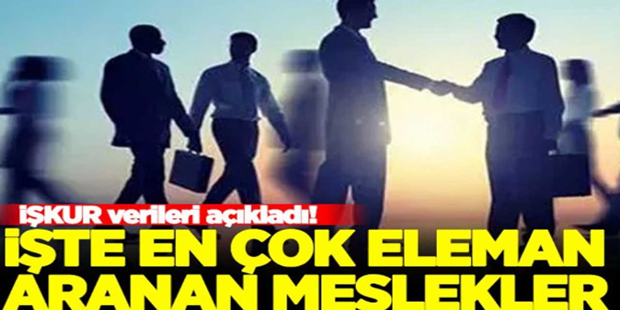 İŞKUR, 2024'ün ilk yedi ayında en çok eleman aranan meslekleri açıkladı