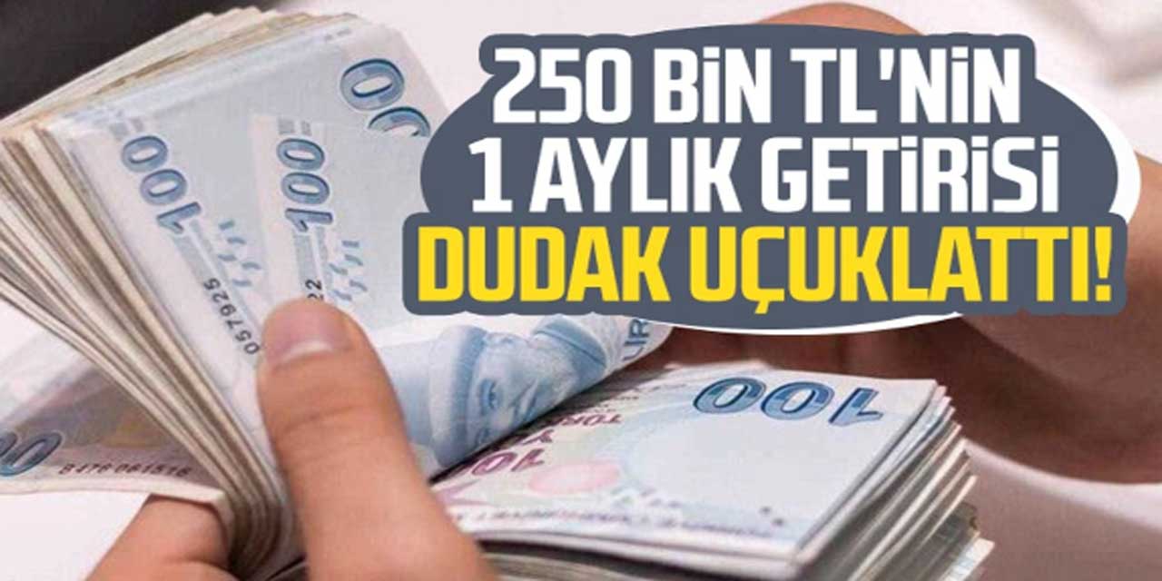 Bankalardan Şaşırtıcı Mevduat Faiz Oranı Artışı: 250 Bin Liranın Aylık Getirisi Ne Kadar?