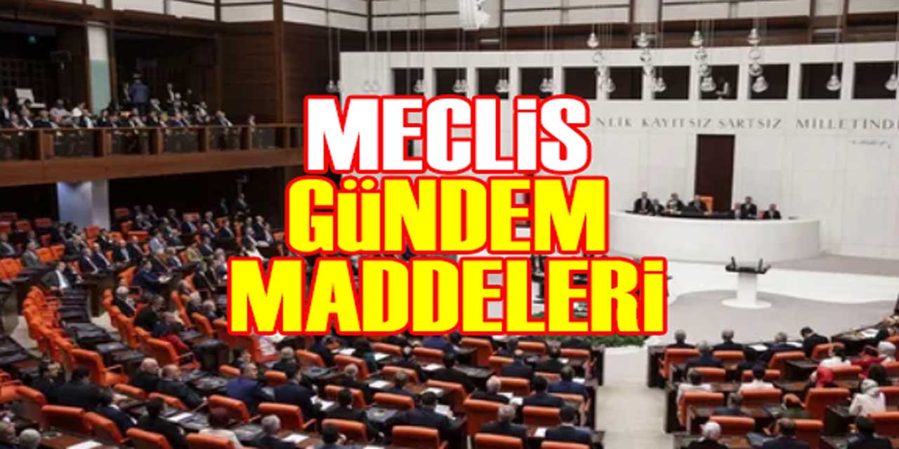 Meclisin Yeni Dönem Gündemi: Maaş Sistemi, Emeklilik, Esnek Çalışma ve 3600 Ek Gösterge