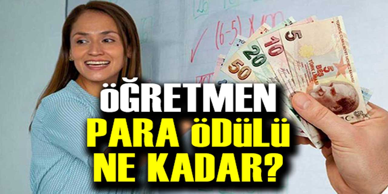 ÖĞRETMENLERE EK ÖDEME: 2024 üstün başarı belgesi para ödülü ne kadar?