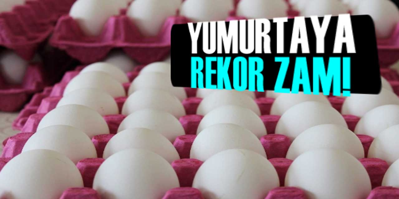 Artık yumurta bile lüks oldu! Yumurta Fiyatlarına Rekor Zam