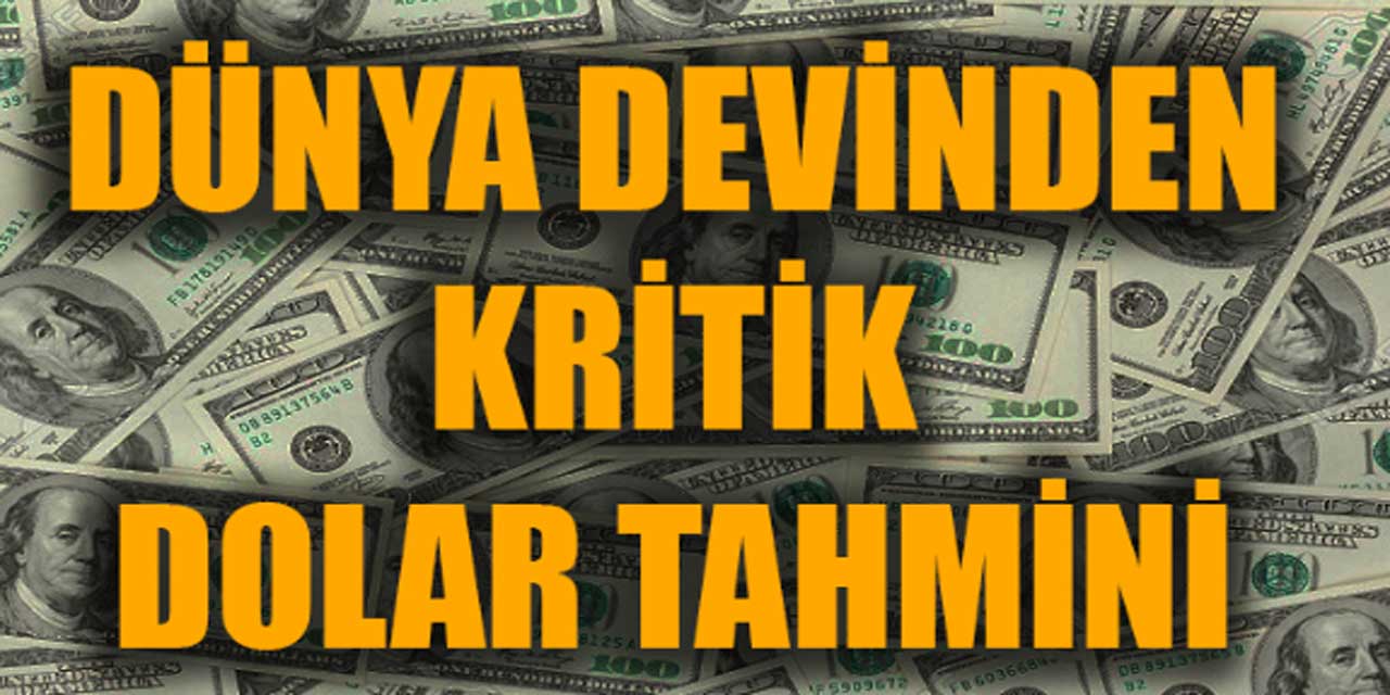 Goldman Sachs, Türkiye'nin Dolar Tahminini Revize Etti: Beklenmedik Değişiklikler!