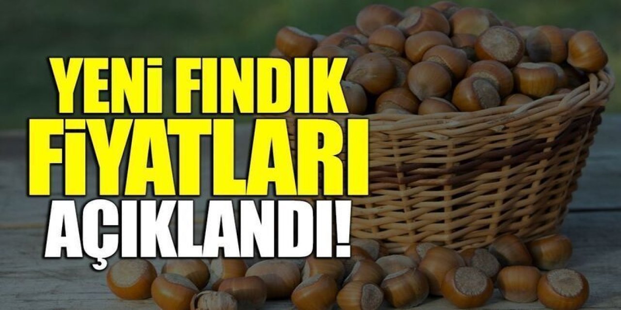 Fındık Fiyatları Ne Kadar? 16 Eylül 2024 Serbest Piyasa Fiyatları Açıklandı