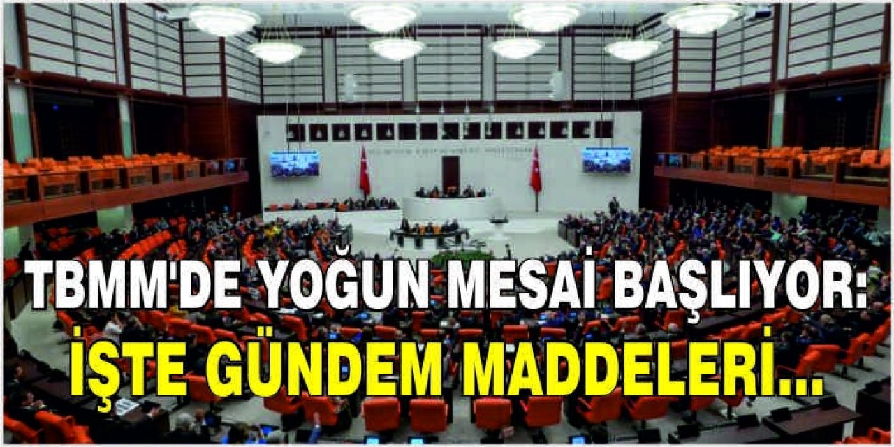 TBMM'de bu hafta hangi maddeler görüşülecek?