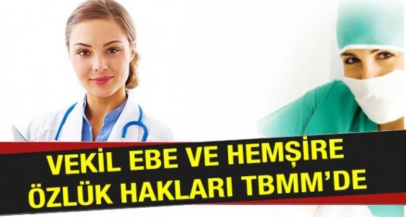 Vekil ebe ve hemşire özlük haklarına ilişkin soru önergesi Cumhurbaşkanlığa sunuldu