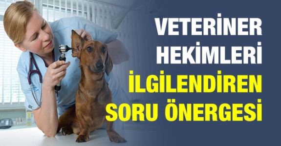 Veteriner hekim atamaları ve özlük hakları TBMM'de! Veteriner hekimlere yıpranma payı verilecek mi?