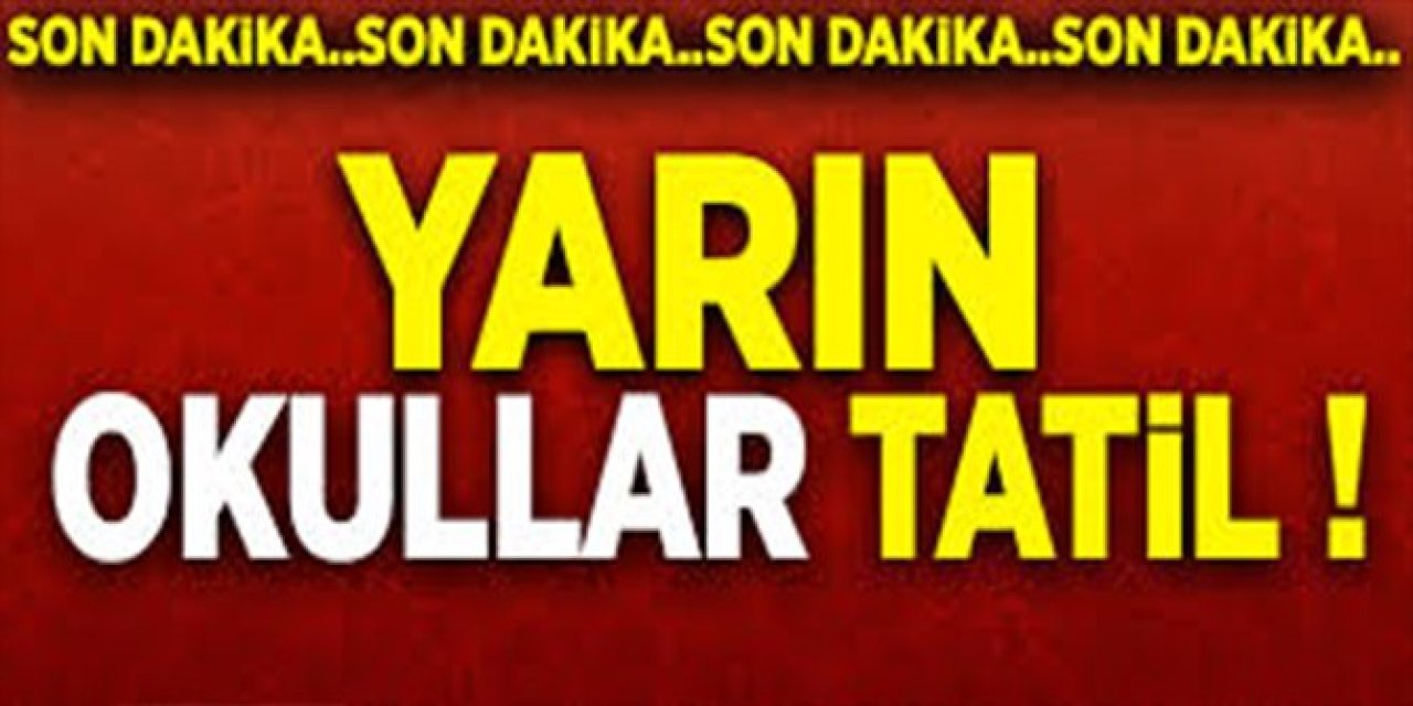 Yarın Okullar Tatil! 22 Kasım Cuma İçin Tatil Kararı Alındı