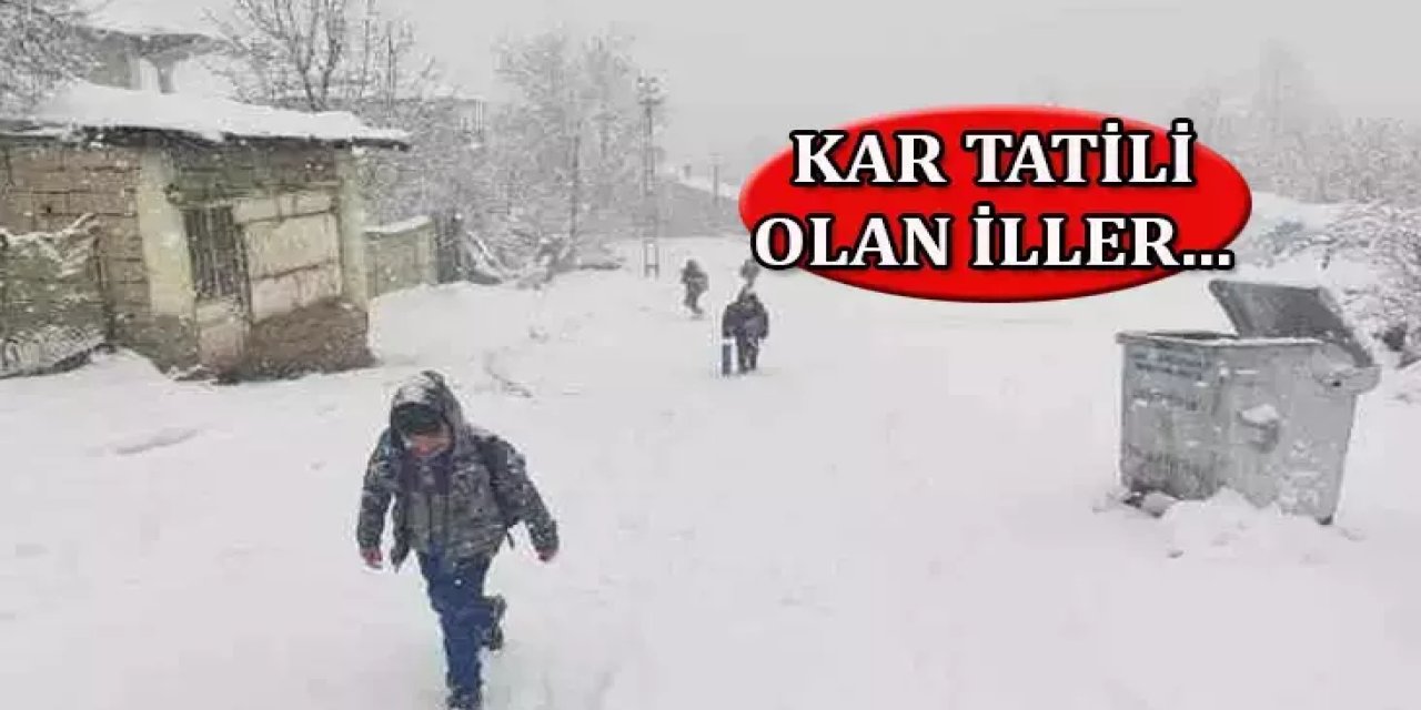 Yoğun Kar Yağışı Nedeniyle 10 İlde Okullara Kar Tatili (26 Kasım 2024 Salı)