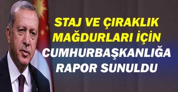 Staj ve Çıraklık Mağdurları İçin Cumhurbaşkanlığı’na Rapor Sunuldu