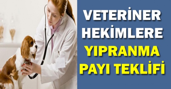 Veteriner Hekimlere Yıpranma Payı Verilmesi Hakkında Kanun Teklifi (Ekim 2019)