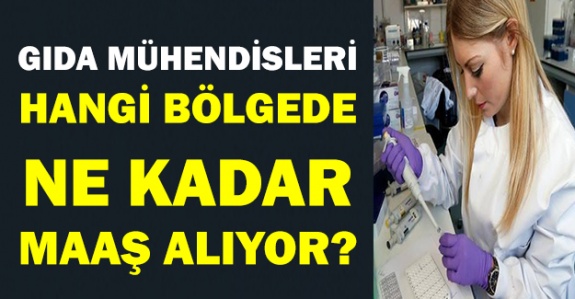 Gıda mühendisleri hangi bölgede ne kadar maaş alıyor? (2019 yılı)