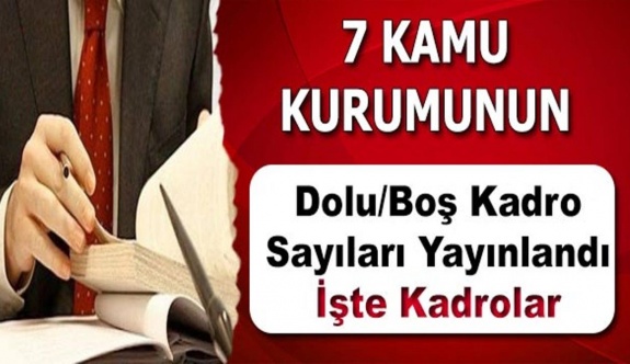 7 kurumun dolu/boş kadrolarında yapılan değişiklik Resmi Gazetede (6 Kasım 2019)