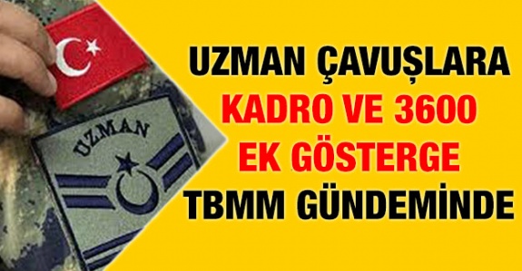 Uzman çavuşlara kadro ve 3600 ek gösterge TBMM'de dile getirildi