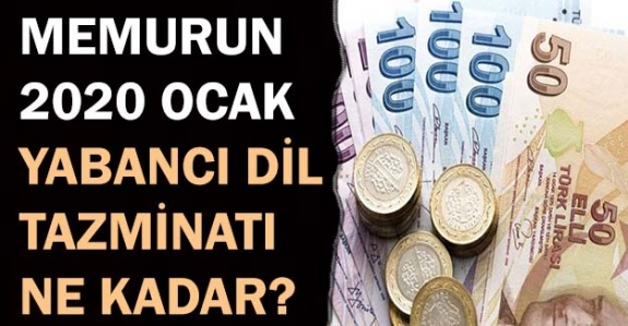 Memurların Yabancı Dil Tazminatı Ocak 2020'de Ne Kadar? İşte YDS Puanına göre 2020 Dil Tazminatı Miktarları