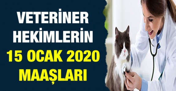 Bölgelerine Göre Veteriner Hekim 15 Ocak 2020 Maaşları