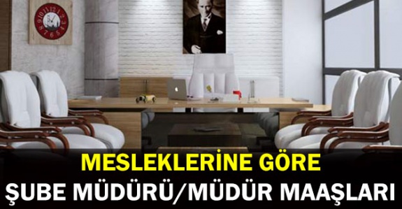 2020'de mesleklerine göre şube müdürü ve müdür maaşları ne kadar?