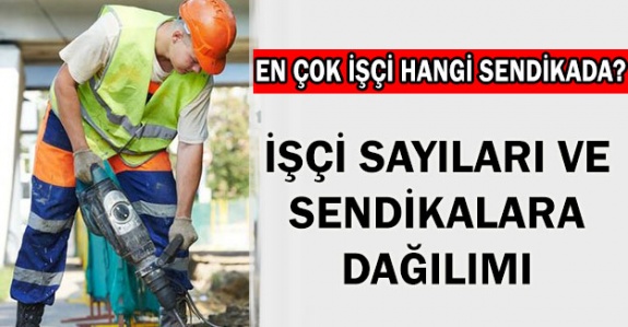 İşkollarındaki İşçi Sayıları ve Sendikaların Üye Sayılarına İlişkin 2020 Ocak Ayı İstatistikleri Yayımlandı