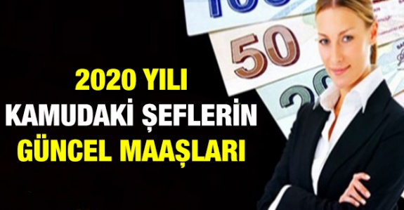 Kamuki şeflerinin 2020 Ocak- Temmuz maaşları, yan ödemesi ve tazminatı ne kadar?