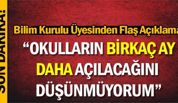 Bilim Kurulu Üyesinden Açıklama: 'Okulların Bir Kaç Ay Daha Açılacağını Düşünmüyorum'