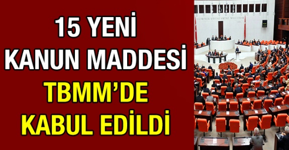 TBMM'de 15 yeni kanun maddesi kabul edildi.