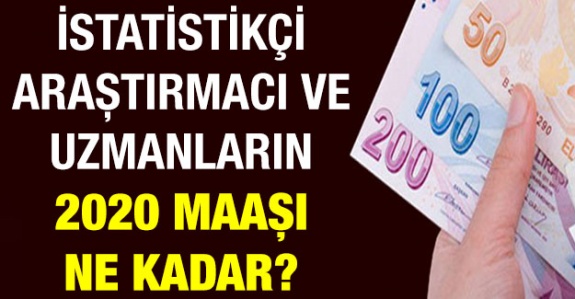 Kamuda istatistikçi, araştırmacı ve uzmanların maaşı 2020'de ne kadar?