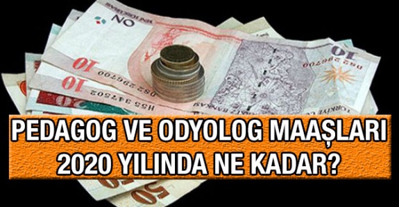 Kamuda her derece Pedagog ve Odyolog maaşı ne kadar? (2020 yılı)