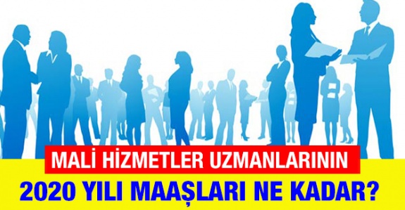 Mali Hizmetler Uzmanları ve Yardımcıları 2020'de Ne Kadar Maaş Alıyor?