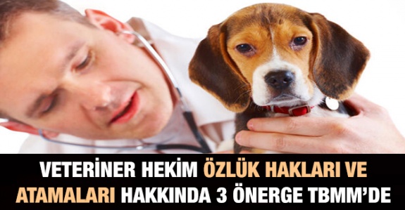 Veteriner hekim atamaları ve özlük hakları için 3 önerge TBMM'de