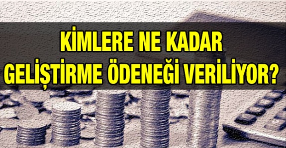 Geliştirme ödeneği 2020 yılında ne kadar ödeniyor?