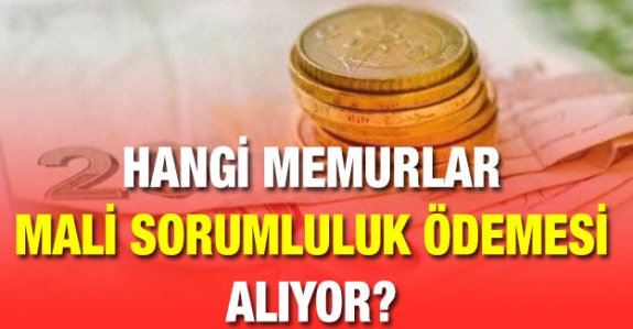 Memurlar ne kadar mali sorumluluk zammı ve puan alıyor?