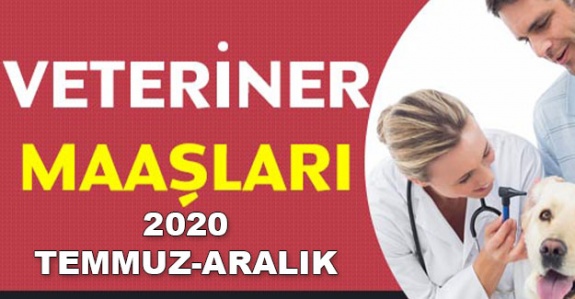 2020 temmuz aralık dönemi devlette veteriner hekim maaşları