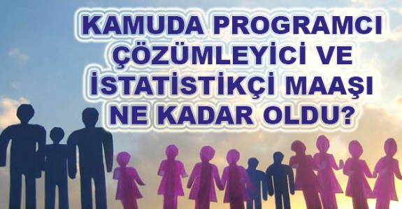 Kamuda programcı, çözümleyici ve istatistikçi 2020'de ne kadar maaş alıyor?