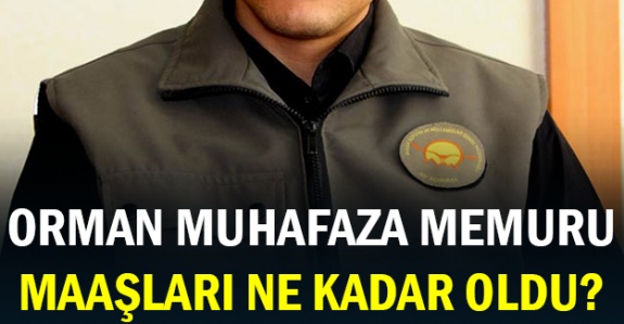 Her derecede orman muhafaza memuru 2020 maaşları ne kadar?