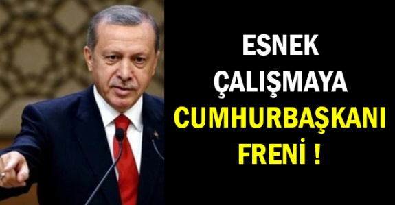 Esnek çalışma'ya Cumhurbaşkanı freni