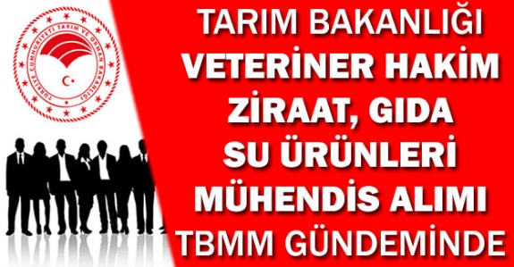 Veteriner hekim ile ziraat, gıda ve su ürünleri mühendisi atamalarına ilişkin