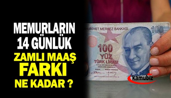 Çalışanların 14 Günlük Maaş Farkı Ne Kadar? İşte Memurların Ocak 2021 Maaş Farkları